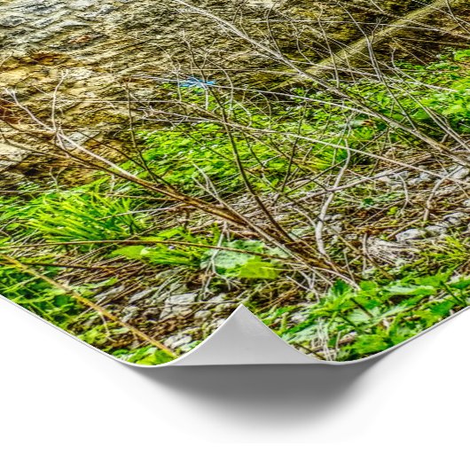 Overdekte Brug - kunstprint _ Lancaster Pa Poster (Hoek)