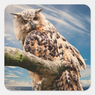 Overdenkende Uil Vierkante Sticker