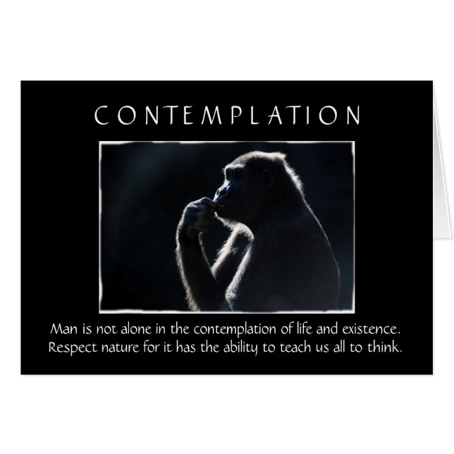 Overdenking (Voorkant Horizontaal)