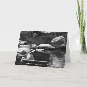 Overdenking, Big Springs-tuinen Kaart