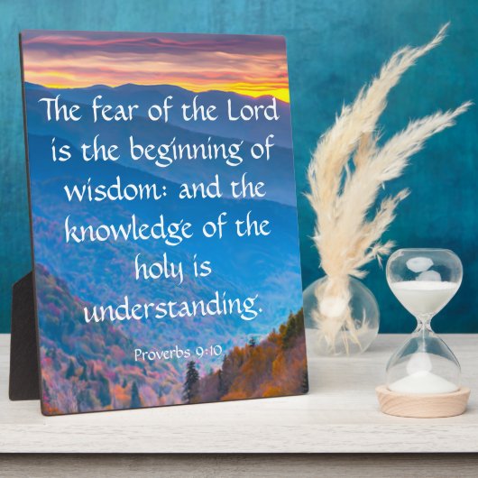 Overdrachten 9:10 fotoplaat (Zijkant)