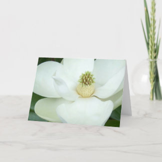 Overdreven magnolia kaart