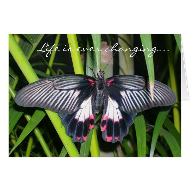 Overgang, levensverandering (Voorkant Horizontaal)