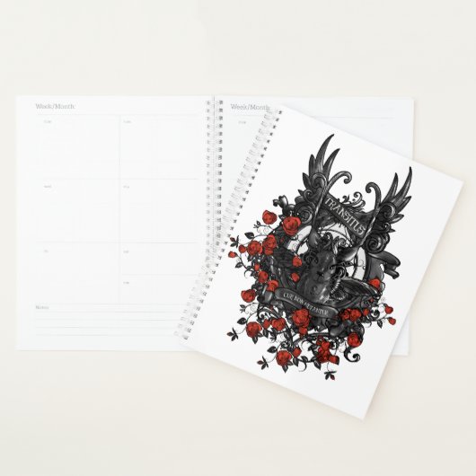 Overgangsstrategie Planner (Display)