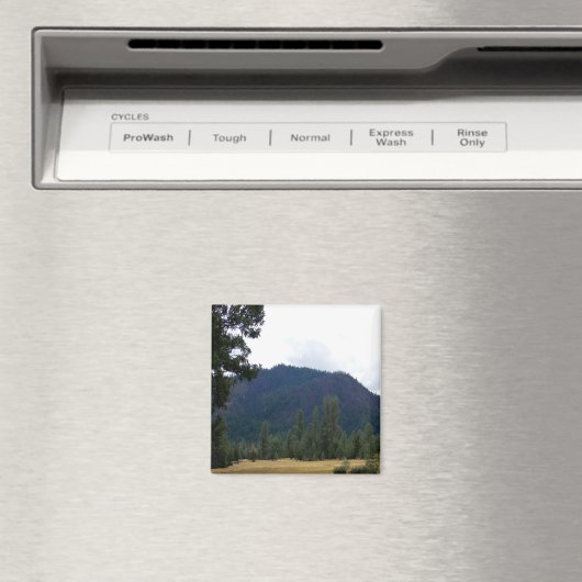 Overgegoten dag in de vallei..... magneet (Insitu (Vaatwasser))