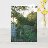 Overgeteeld Boerderij Kaart (Gele Bloem)