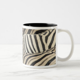 Overhead uitzicht van de Zebra van Burchell Tweekleurige Koffiemok