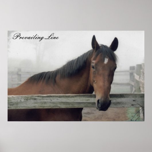 Overheersende lijndruk poster (Voorkant)