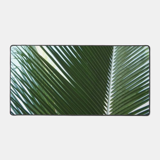 Overlapping Palm Fronds Tropical Green Abstract (Recto)