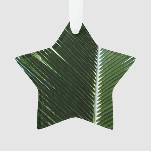Overlapping Palm Fronds Tropical Green Abstract (devant)
