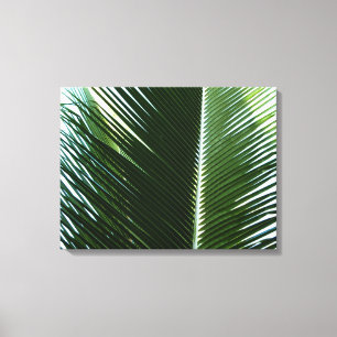 Overlapping Palm Fronds Tropical Green Abstract Canvas Afdruk