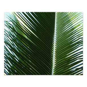 Overlapping Palm Fronds Tropical Green Abstract Foto Afdruk
