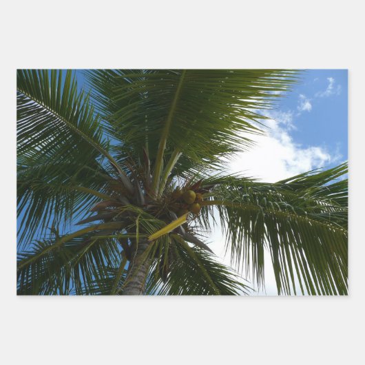 Overlapping Palm Fronds Tropical Green Abstract Inpakpapier Vel (Voorkant 2)