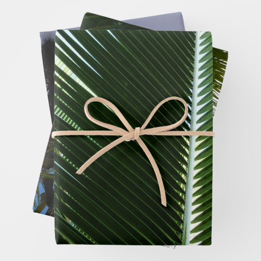 Overlapping Palm Fronds Tropical Green Abstract Inpakpapier Vel (In situ)