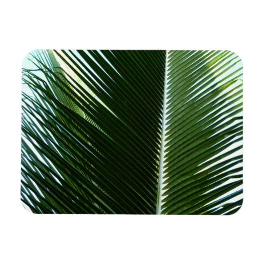Overlapping Palm Fronds Tropical Green Abstract Magneet (Horizontaal)
