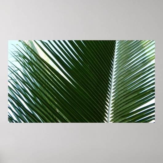 Overlapping Palm Fronds Tropical Green Abstract Poster (Voorkant)