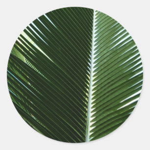 Overlapping Palm Fronds Tropical Green Abstract Ronde Sticker