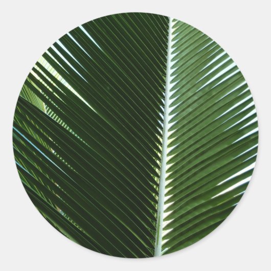 Overlapping Palm Fronds Tropical Green Abstract Ronde Sticker (Voorkant)