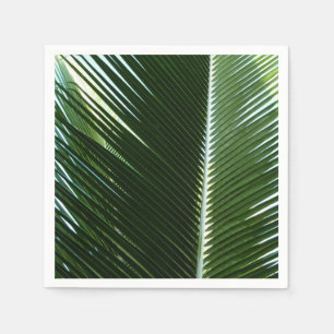 Overlapping Palm Fronds Tropical Green Abstract Servet