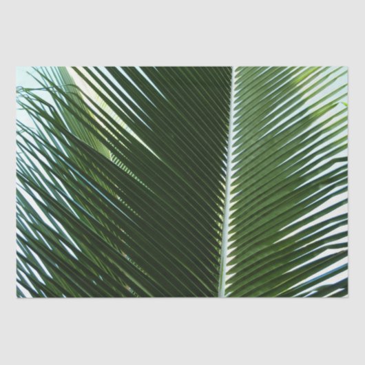 Overlapping Palm Fronds Tropical Green Abstract Tissuepapier (Voorkant)