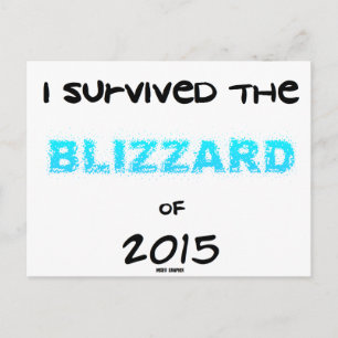 Overlevende de Blizzard 2015 Briefkaart