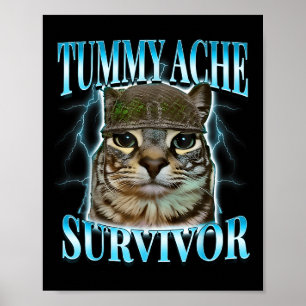 Overlevende kat met buikpijn meme grappige spreuk  poster