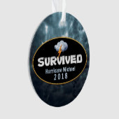 Overlevende orkaan Michael Ornament (voorkant)