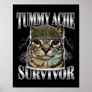 Overlevende van buikpijn Funny kat meme sarcastisc Poster