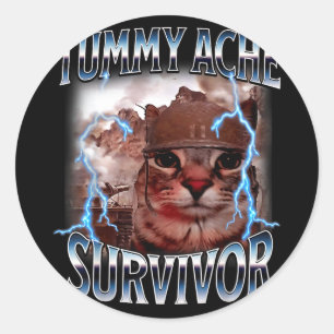 Overlevende van buikpijn grappige kat meme overlee ronde sticker