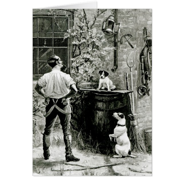 Overleving van de Fittest (Voorkant)