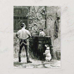 Overleving van de Fittest Briefkaart