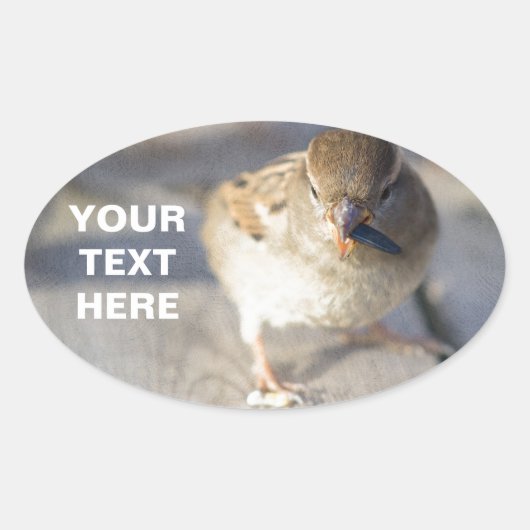 Overleving van de fittest ovale sticker (Voorkant)