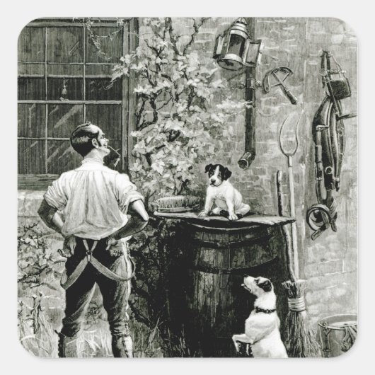 Overleving van de Fittest Vierkante Sticker (Voorkant)