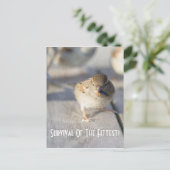 Overleving van het Briefkaart van de fitte (Staand voorkant)