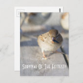 Overleving van het Briefkaart van de fitte (Voorkant / Achterkant)