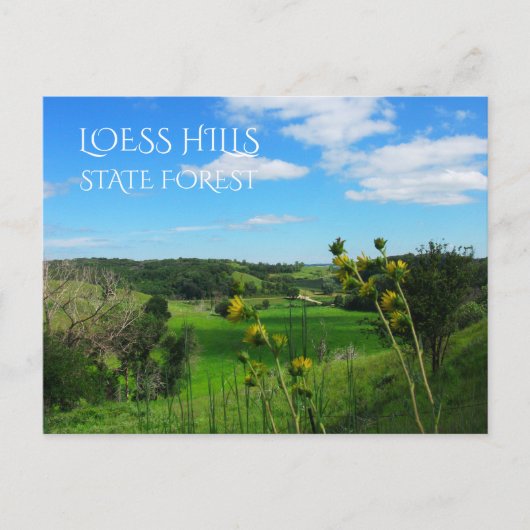 Overlook Path Uitzicht, Loess Hills State Forest,  Briefkaart (Voorkant)