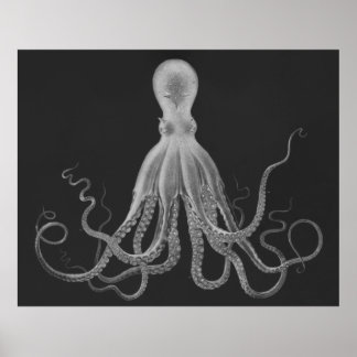 Overmaatse Octopus Triptych Afdrukken in grijs Poster