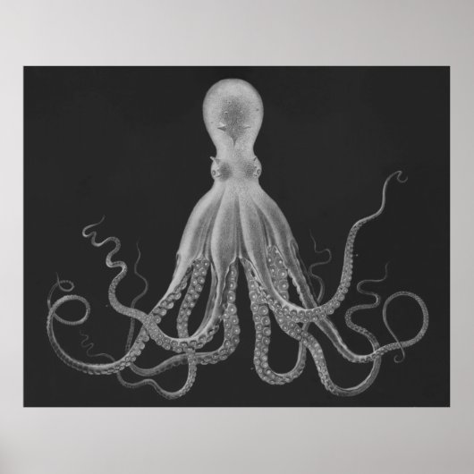 Overmaatse Octopus Triptych Afdrukken in grijs Poster (Voorkant)