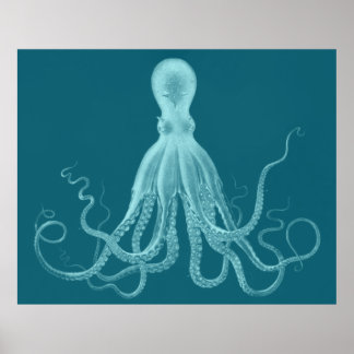 Overmaatse Octopus Triptych Print in Turquoise
