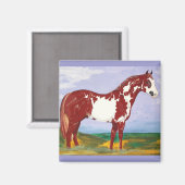 Overo verf hengst ~ paard magneet (Voorkant / Achterkant)