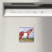 Overo verf hengst ~ paard magneet (Insitu (Vaatwasser))