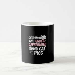 Overschatte Zendt Kat Foto's Grappige Mok