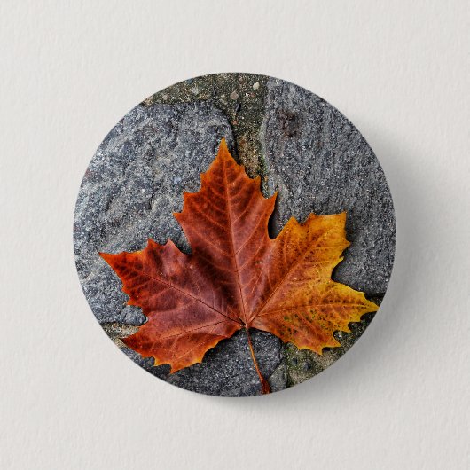 "Overstappen in herfst" Ronde Button 5,7 Cm (Voorkant)