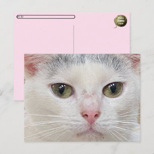 Oversteken van het Close Up Briefkaart van George 