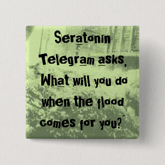 Overstromende Button