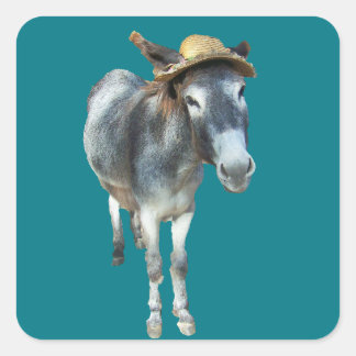 Overtreed de Donkey in Pet met bloemen Vierkante Sticker