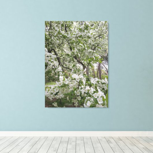 Overvloed aan kersenbloesems canvas afdruk (Insitu (Houten vloer))