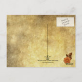 overvloed briefkaart (Achterkant)