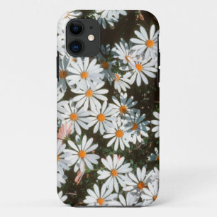 Overvloed van witte madeliefjes (Asteraceae) iPhone 11 Hoesje