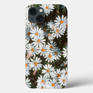 Overvloed van witte madeliefjes (Asteraceae) iPhone 13 Hoesje